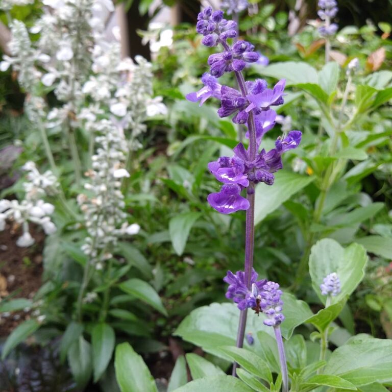 訪問看護のことをお話しします　その3