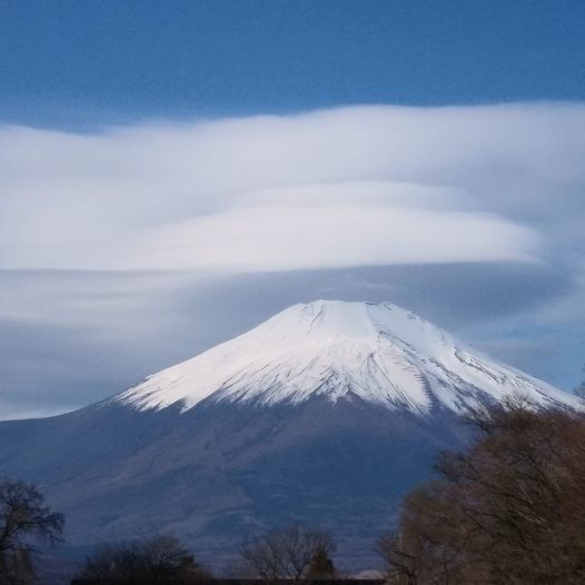 はじめての議会