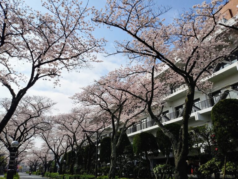 葛飾区議会第一回定例会が閉会しました