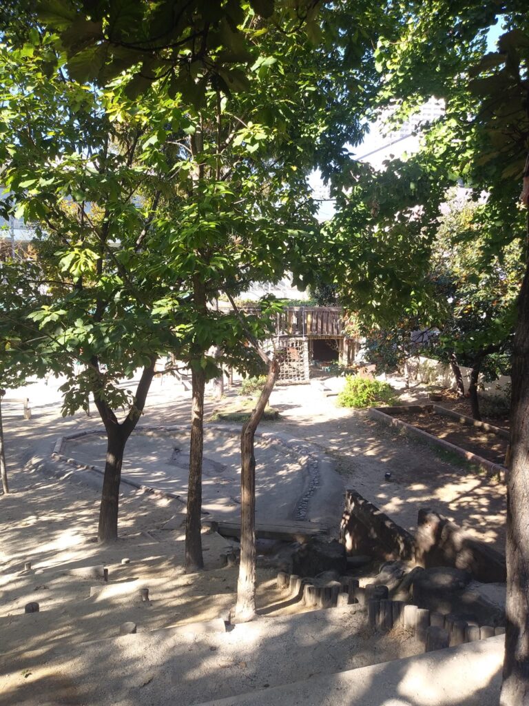 どんぐり山のある幼稚園で